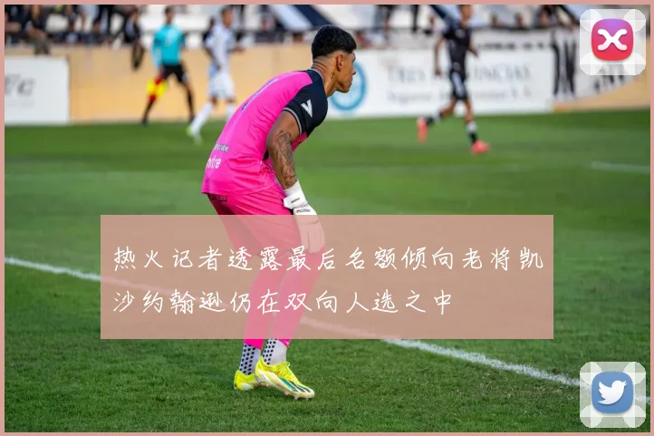 热火记者透露最后名额倾向老将凯沙约翰逊仍在双向人选之中